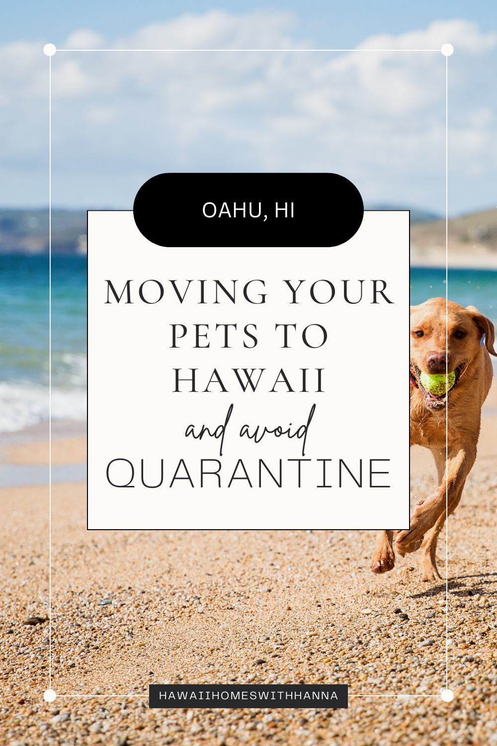moving pets to Hawaii and how to avoid pet quarantine.